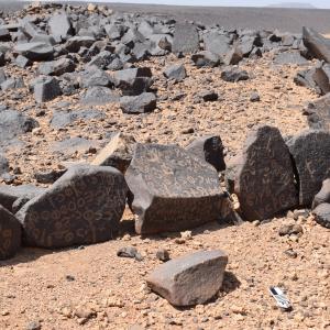 Desert inscriptions